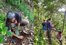 Tonjolkan Ciri Khas Lasem Dengan Tanam 7000 Bibit Kopi