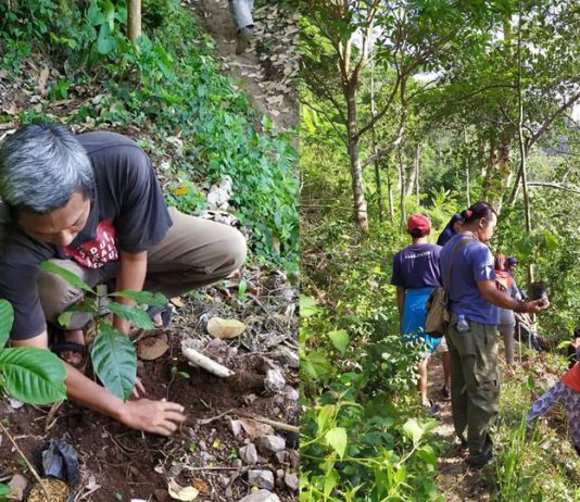 Tonjolkan Ciri Khas Lasem Dengan Tanam 7000 Bibit Kopi