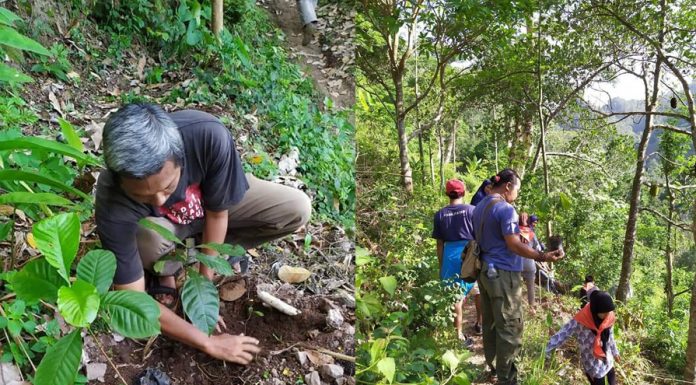 Tonjolkan Ciri Khas Lasem Dengan Tanam 7000 Bibit Kopi