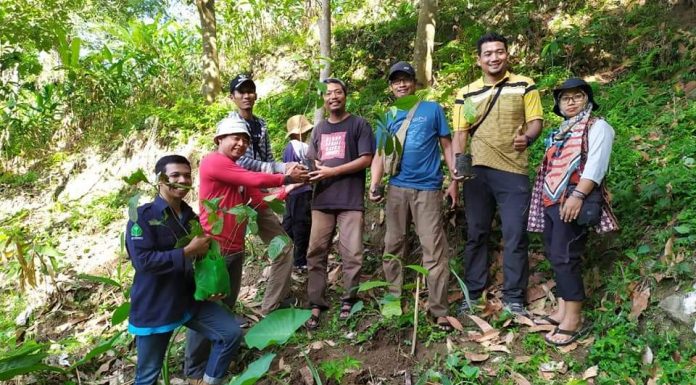 Masih Gersang, Kawasan Lindung Lasem Ditambal 7.000 Bibit Kopi