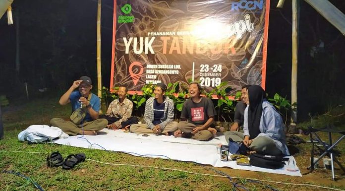 PENANAMAN BIBIT KOPI DI LASEM